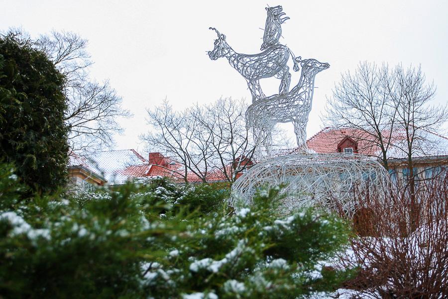 Калининградский зоопарк насчитал рекордные 370 тыс посетителей за год