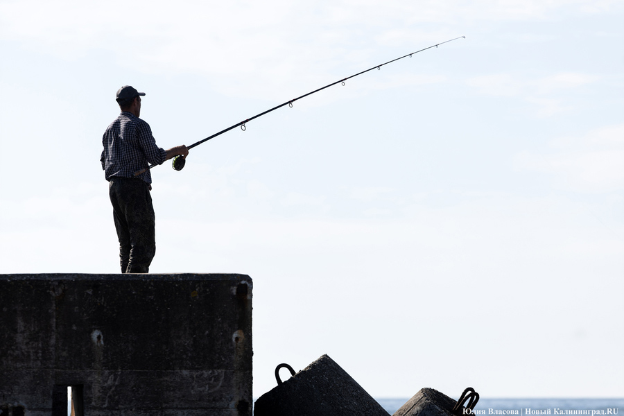 Росрыболовство: в Калининградской области рыбы меньше не становится