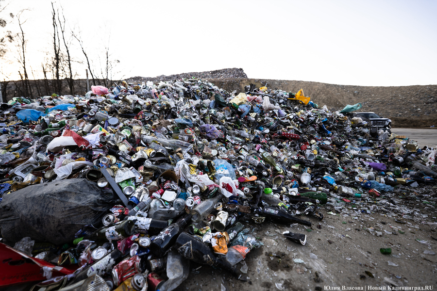 Региональные власти изменили планы по строительству полигона ТКО в Корнево