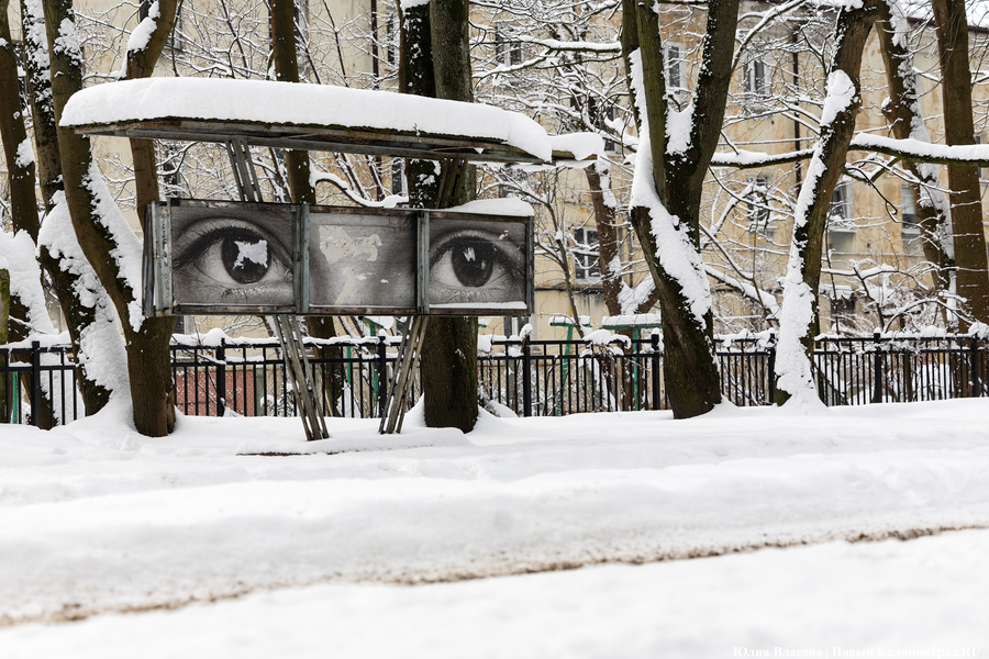 Синоптики: в Калининграде ожидается потепление до слабых морозов или оттепели