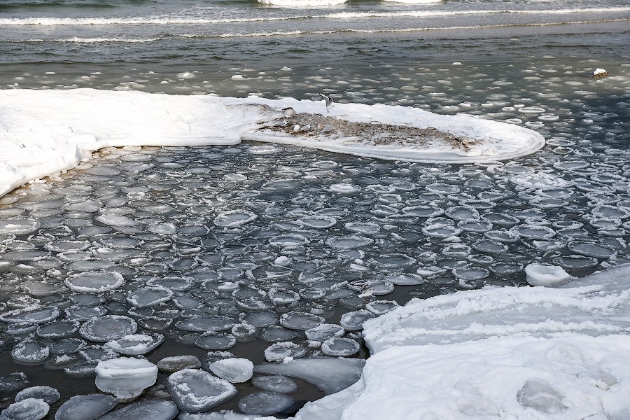 Очевидцы: в Зеленоградском округе пикап провалился под лед
