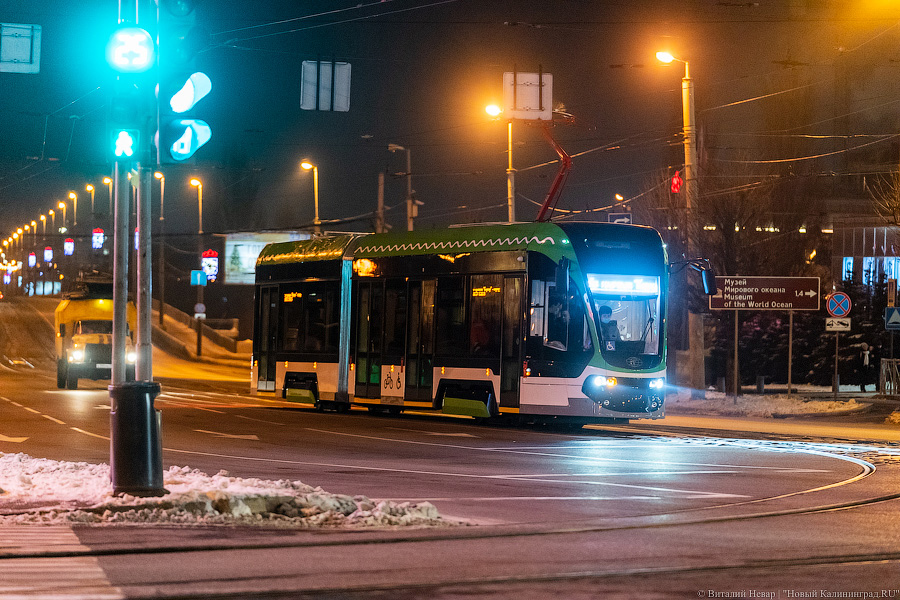 Дятлова: я точно не буду тем главой администрации, который убьет калининградский трамвай