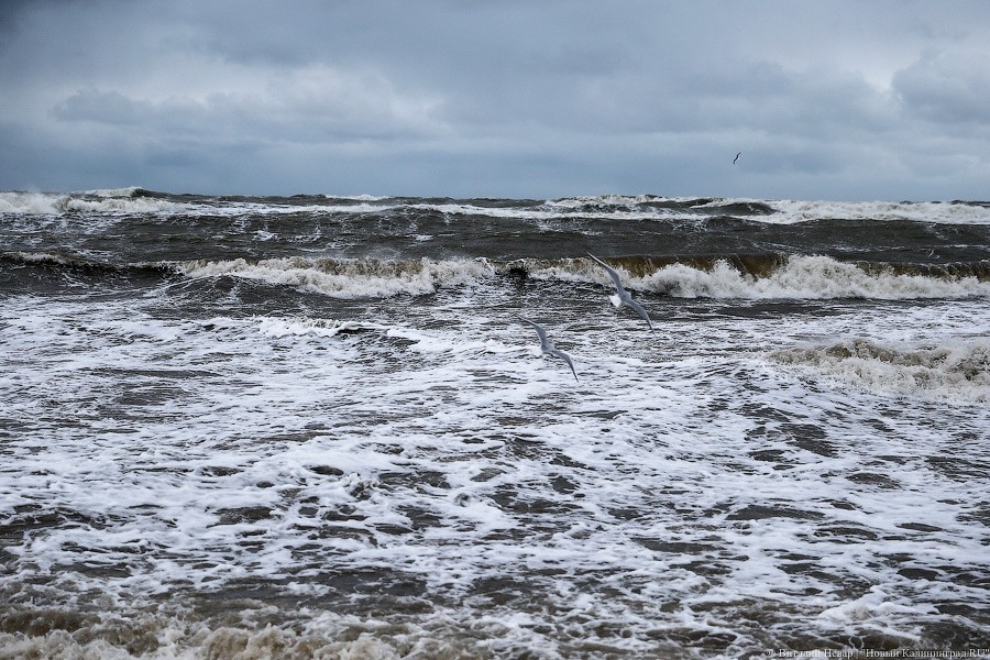 На литовской стороне Куршской косы нашли тело калининградского дайвера