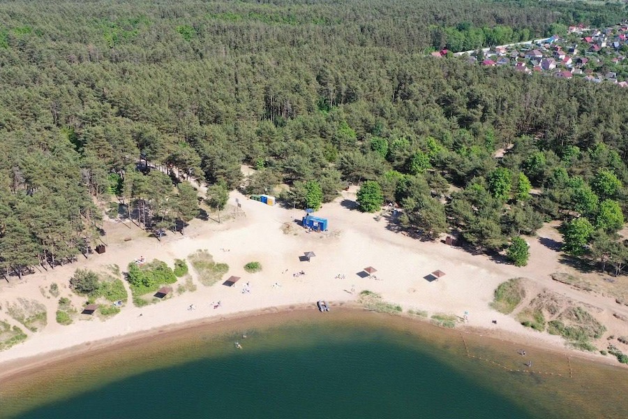 В Калининграде намерены высадить 4200 инвазивных дубов