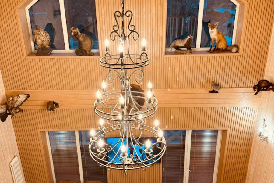 Барная стойка, баня, танцпол: топ-5 домов в аренду в новогоднюю ночь (фото)