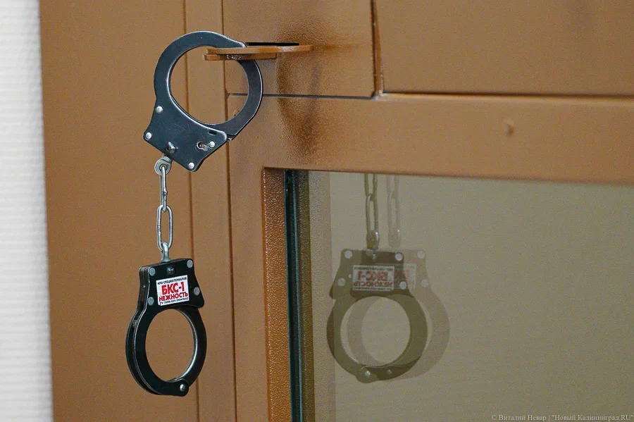 МВД: жителя Зеленоградского р-на будут судить за жестокое обращение с животным (фото)