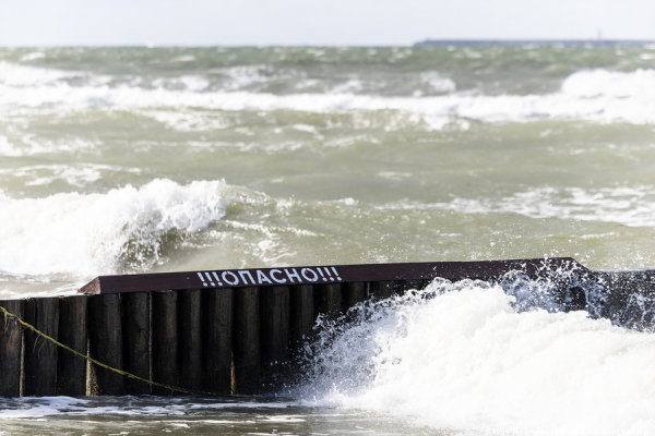 Зона высокой турбулентности: чего ждет калининградский бизнес от 2026 года