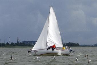 «Чемпионы залива»: репортаж с трансграничной регаты на кубок Калининградского залива