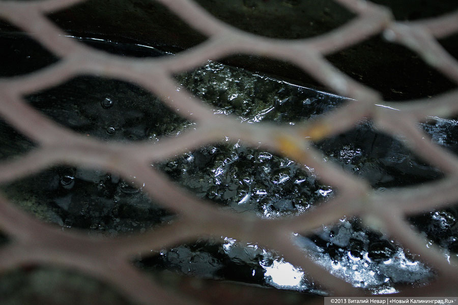 Алиханов хочет построить в Железнодорожном очистные