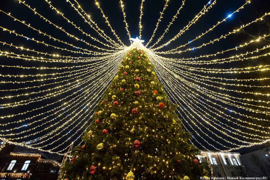 В Зеленоградске планируют приступить к монтажу новогодней ёлки 20 ноября