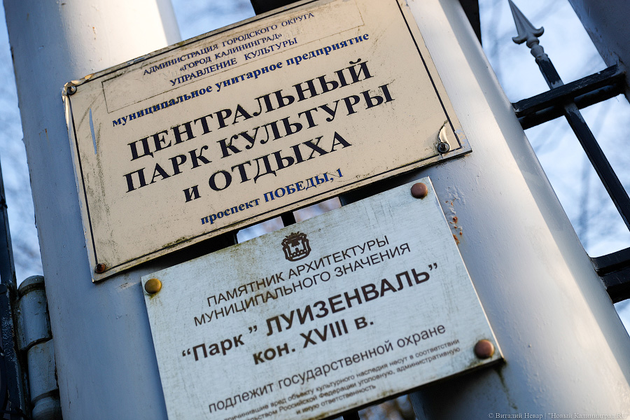 Горку в Центральном парке предлагают обустроить настилом с бортами