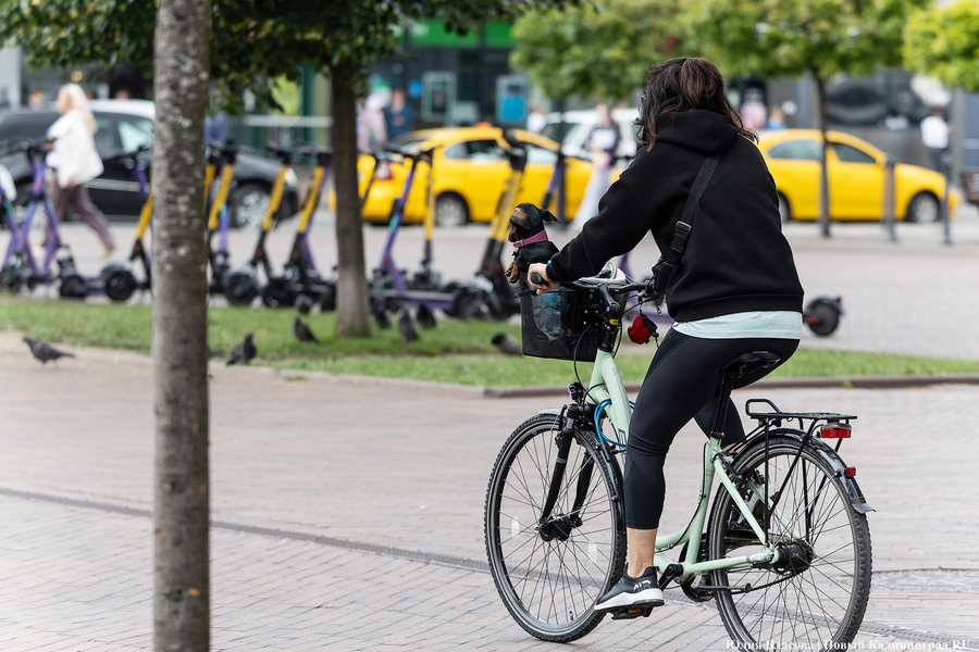 Горвласти предупредили о перекрытии трех улиц из-за спортивного мероприятия