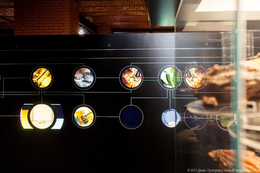 Сериал «Желтый глаз тигра» с Первого канала задумали на Янтарном комбинате