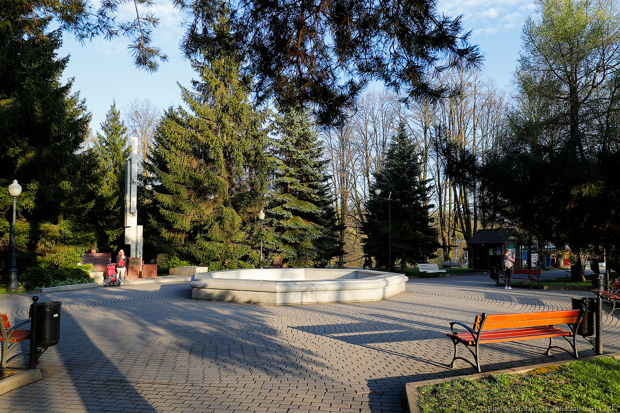 Центральному парку на оценку состояния и «омоложение» деревьев нужно 50 млн рублей