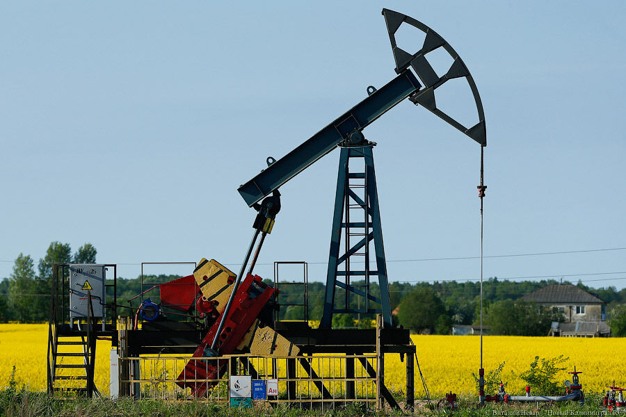 Минэнерго РФ: добыча нефти до 2025 года будет находиться на стабильном уровне