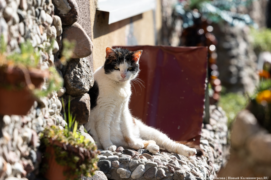 Погода в Калининградской области 9 марта