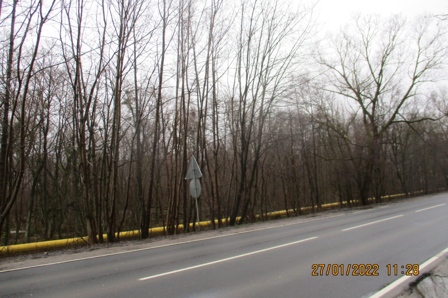 В Калининграде разрешили вырубить 445 деревьев для реконструкции Северного обхода