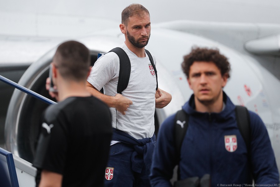 В Калининград на ЧМ-2018 прибыла сборная Сербии по футболу (фото) 