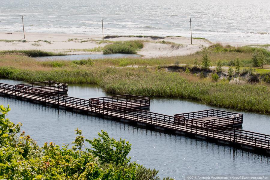 Михаил Черенков: причиной отмены могут быть проблемы организаторов «Кубаны»