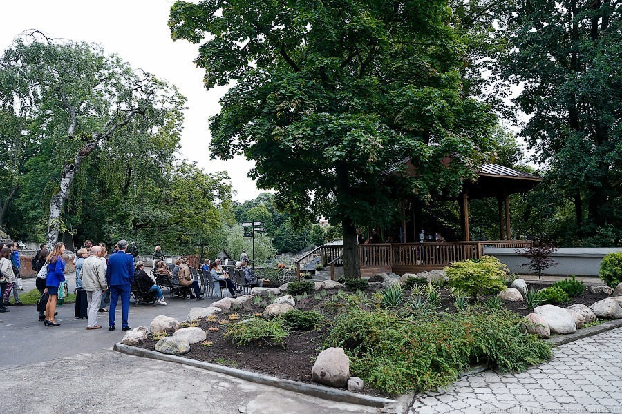 В Калининградском зоопарке решили выпустить на свободный выгул цесарок (видео)