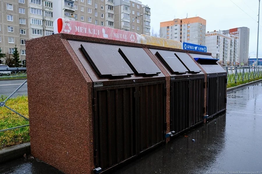 В Калининграде из-за COVID-19 приостанавливается вывоз раздельно собранного мусора из контейнеров