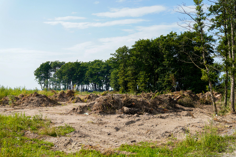 Суд: перевод под застройку земли «Верума» в Куликово увеличивал ее стоимость в 50 раз