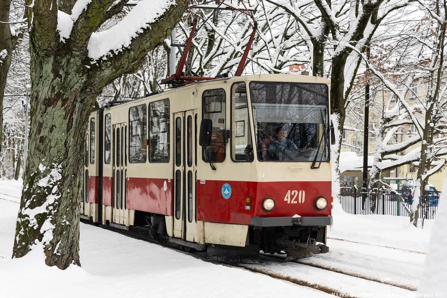 Власти выделяют 134 млн рублей на обновление трамваев в Калининграде