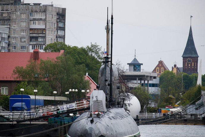 Маринист Владимир Михайловский решил подарить 40 картин Музею Мирового океана