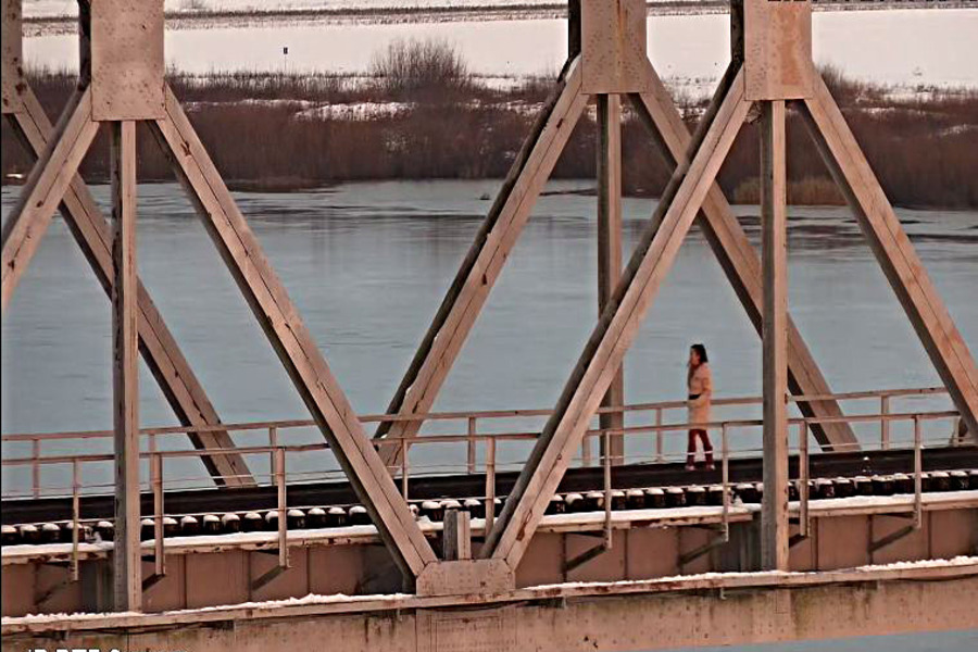 Пограничники задержали женщину, перешедшую границу по железнодорожному мосту