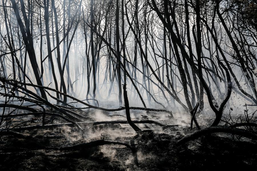 Операция «Внедрение»: что нового в деле о подкинутых полицейскими наркотиках