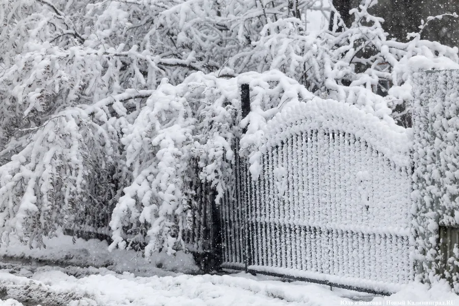 Погода в Калининградской области 30 декабря