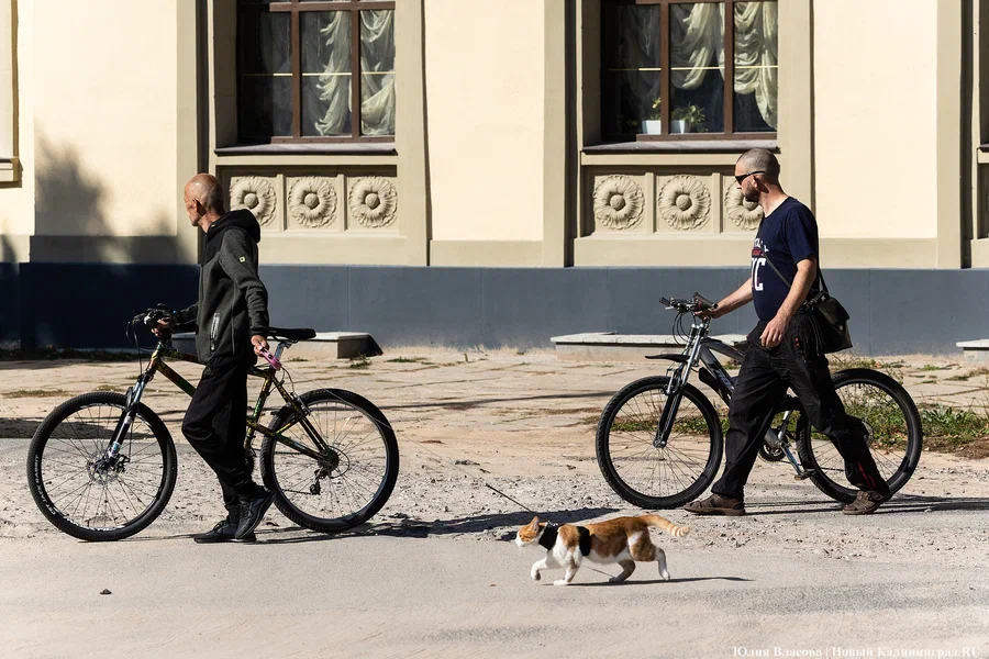 До +18°C и без сильного ветра: прогноз погоды в Калининграде на выходные