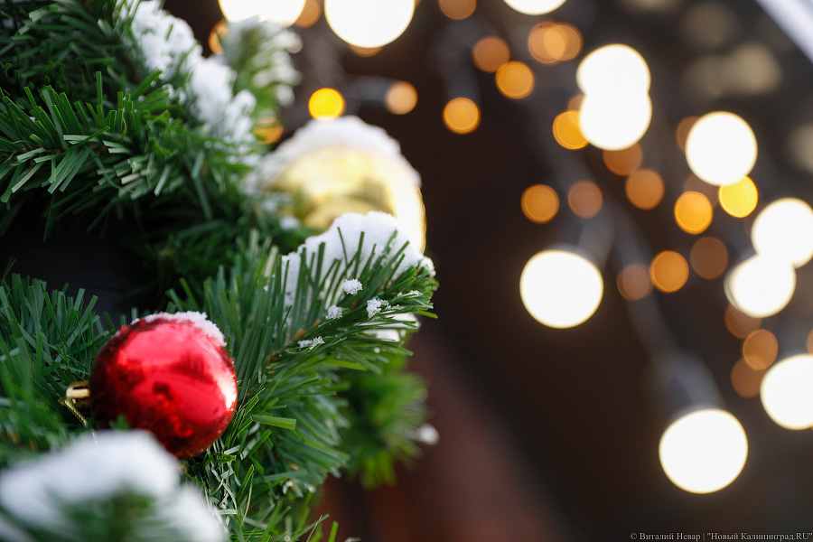 В Калининграде городскую новогоднюю елку для детей хотят устроить в онлайн-формате