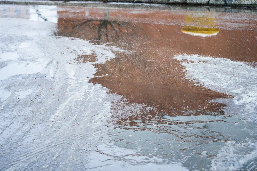 МЧС: в Калининградской области ожидаются осадки в виде замерзающего дождя