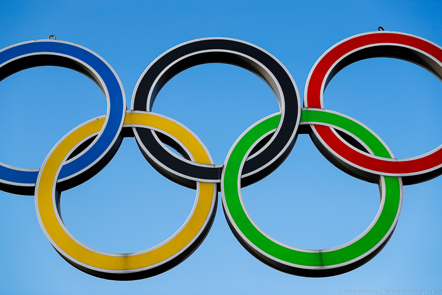 Международный паралимпийский комитет приостановил членство Паралимпийского комитета РФ