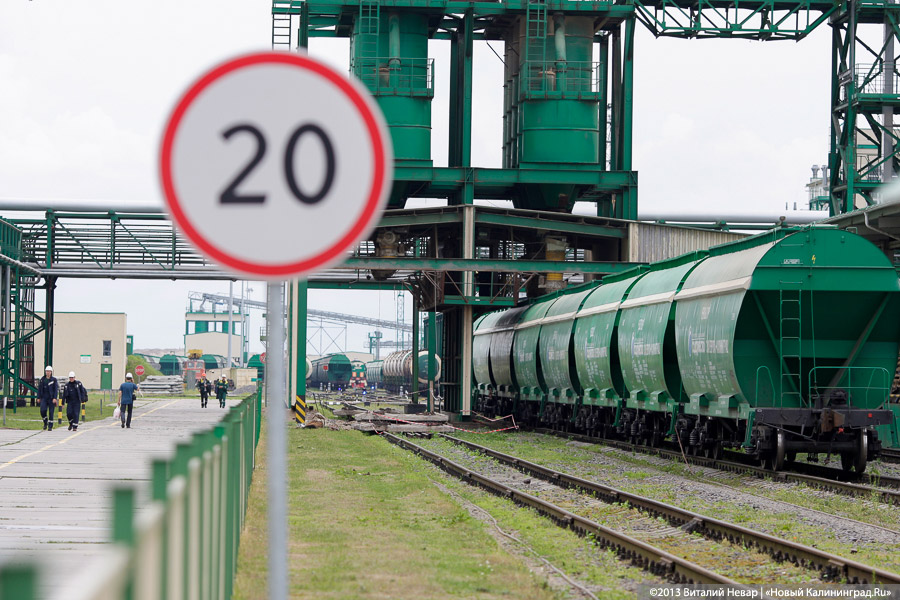 Rugrad: половина объема калининградского транзита в январе — мае пришлась на с/х продукцию