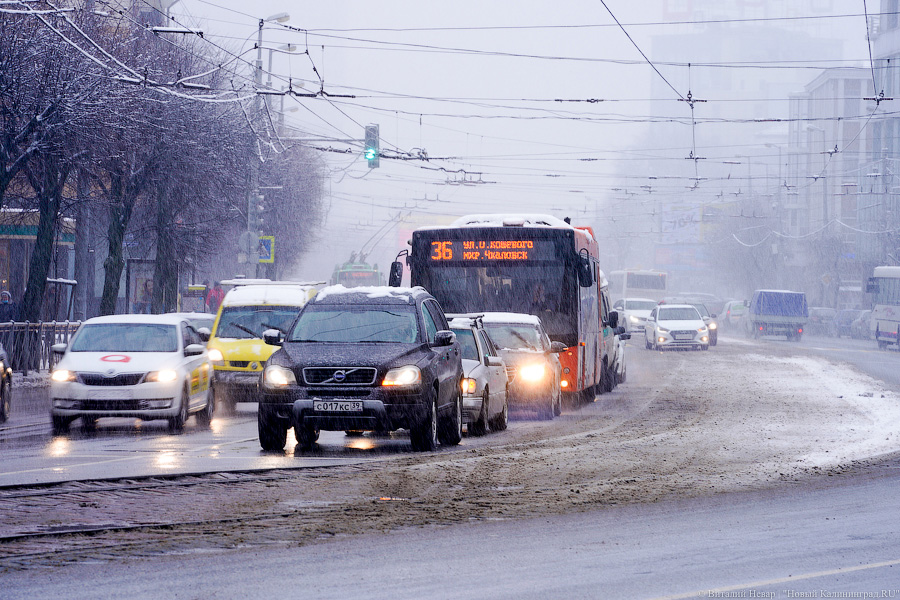 Власти Калининграда отменили лимиты на льготный проезд для пенсионеров