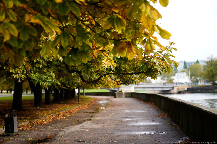 День лета в середине октября: в Калининградской области снова были побиты температурные рекорды