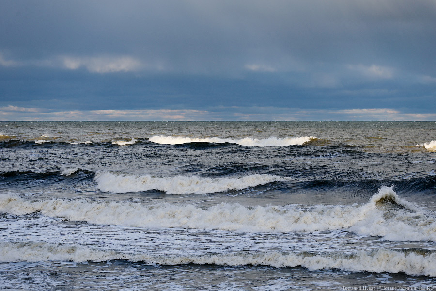Под Светлогорском у моря нашли мертвого студента из Омска
