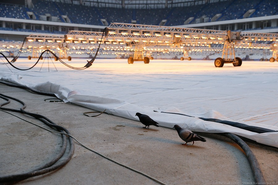 Лепсая о билетах на тестовый матч «Балтики»: планируем начать их реализацию в пятницу