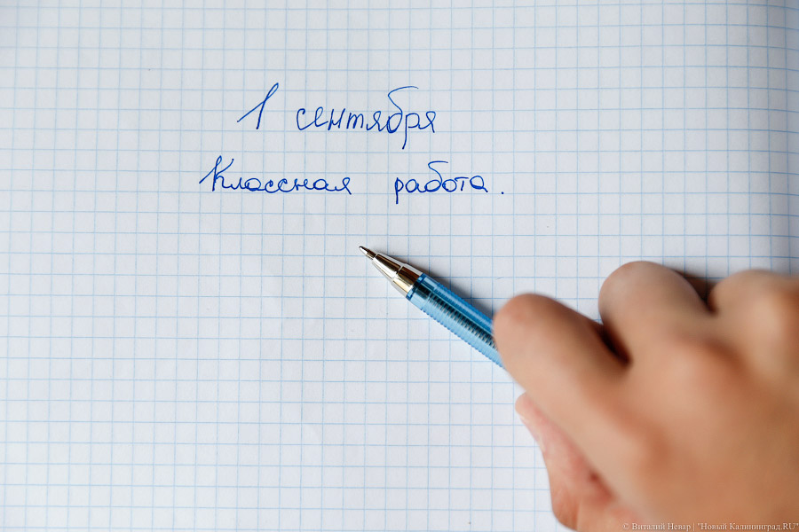 В России намерены ввести для школьников цифровое портфолио с их достижениями