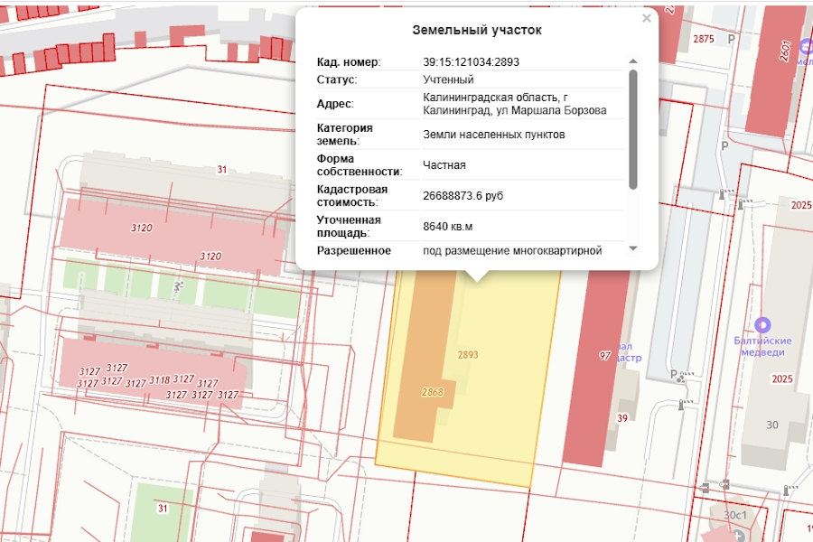 Компании «Шелест» вновь разрешили вырубку на ул. Борзова (фото)