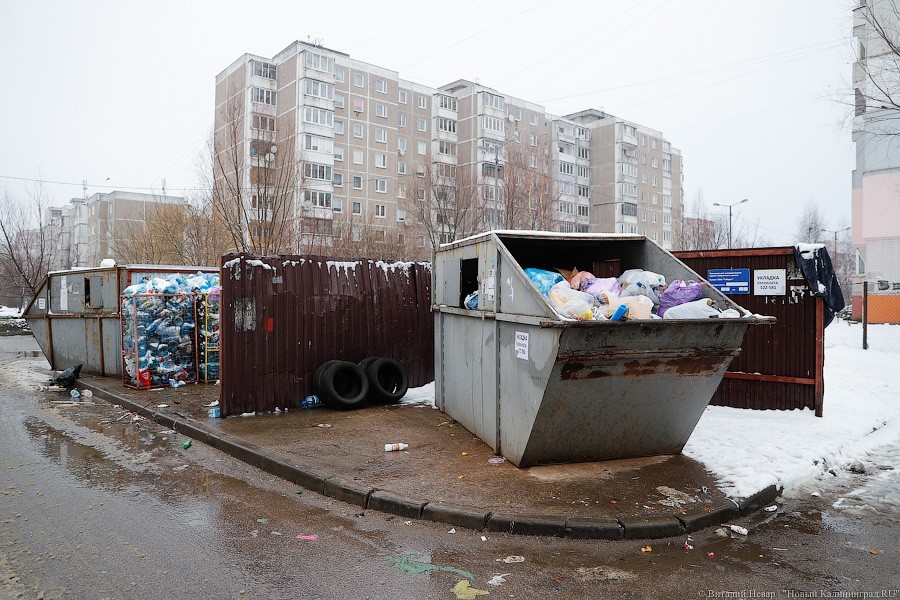 На площадки для раздельного сбора мусора в Калининграде выделили 30 млн рублей