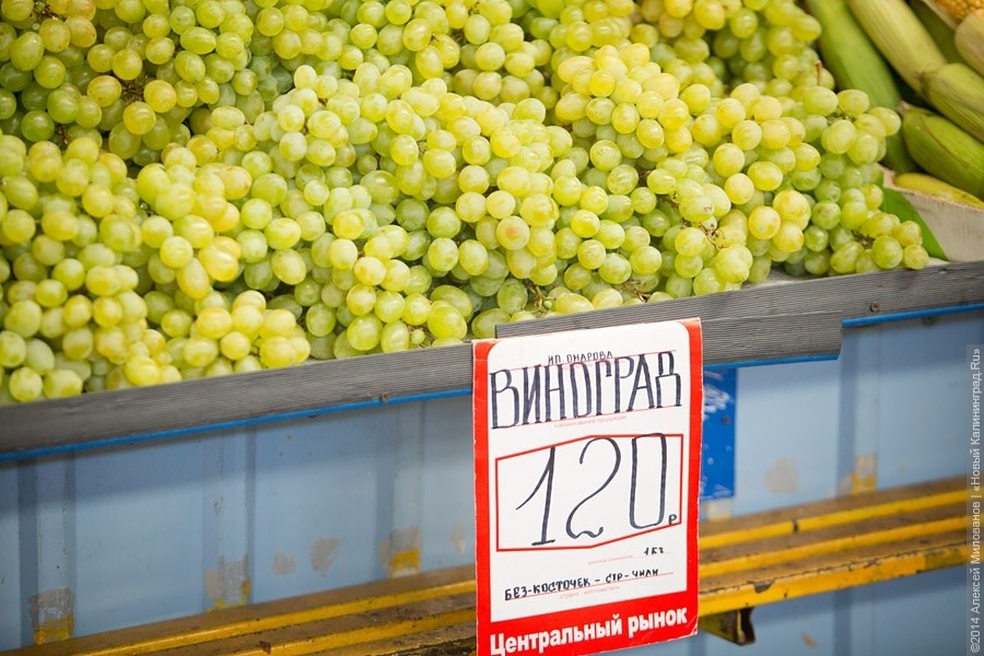 Россия продлила продуктовое эмбарго