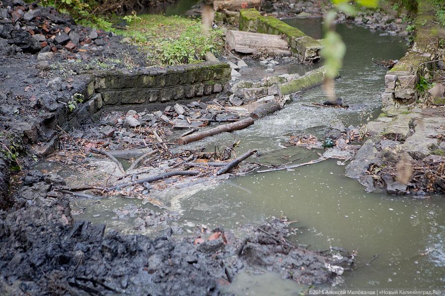 Около бывшей «Сказки» строители завалили глиной русло Паркового ручья (фото)
