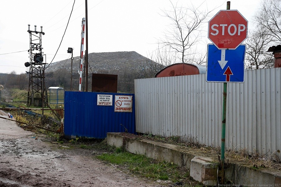 В России решено внедрить дорожные знаки уменьшенного формата