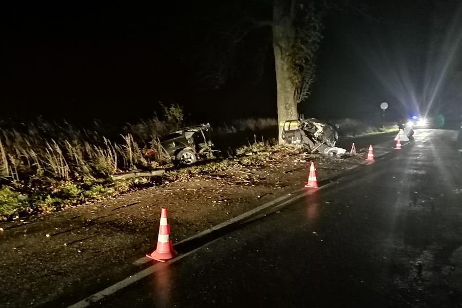 В Нестеровском районе «Ауди» врезалась в дерево, водитель погиб