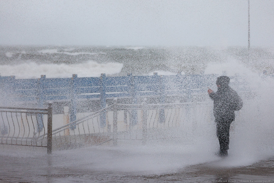 «Нормальность нарушена»: в Европейскую часть РФ пришло циклонов на 45% больше обычного