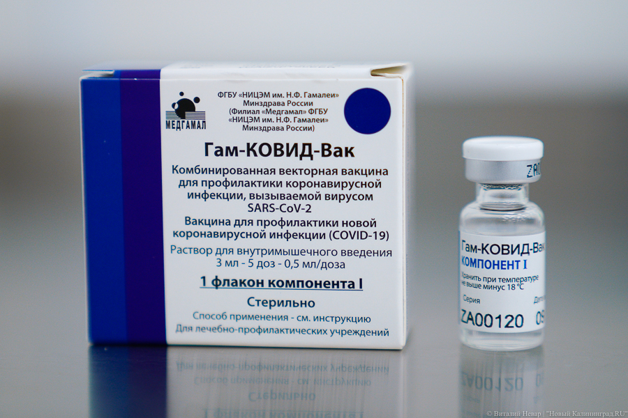 Еврорегулятор отказался комментировать сроки возможной регистрации «Спутника V»