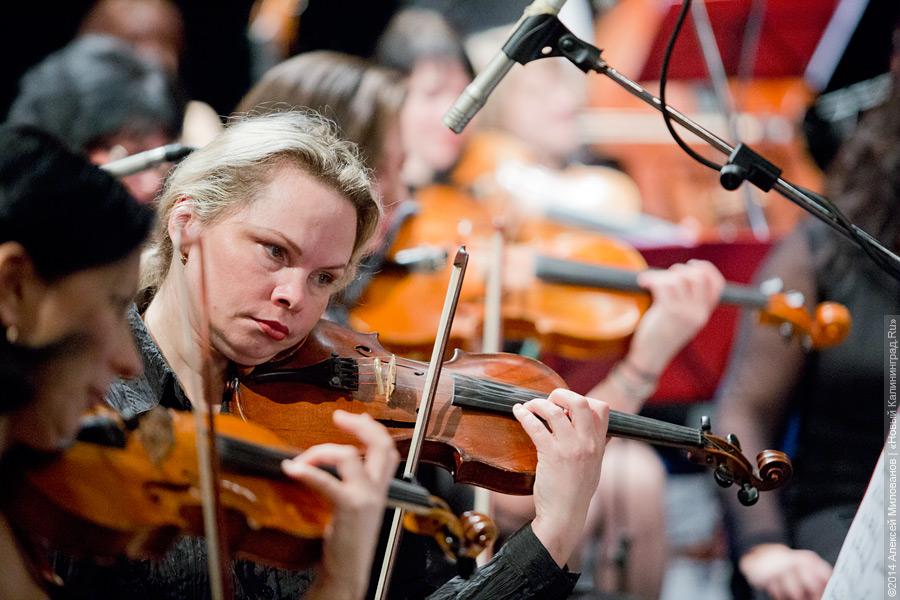 Власти выделили 7,7 млн рублей симфоническому оркестру на инструменты